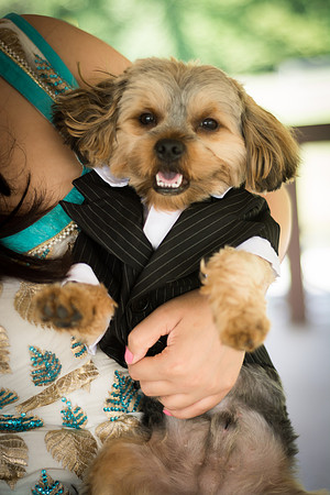 Family Portraits