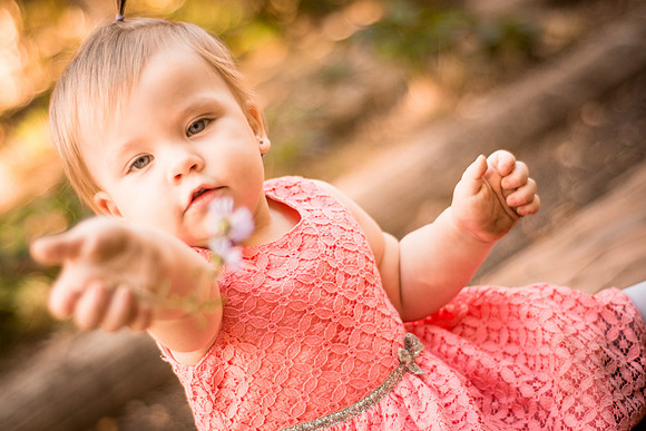 Fall Family Photography Ashley Halas Photography LLC Hamilton New Jersey Photographer