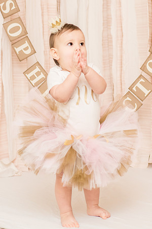 ​First Birthday & Cake Smash Session Ashley Halas Photography LLC Hamilton NJ