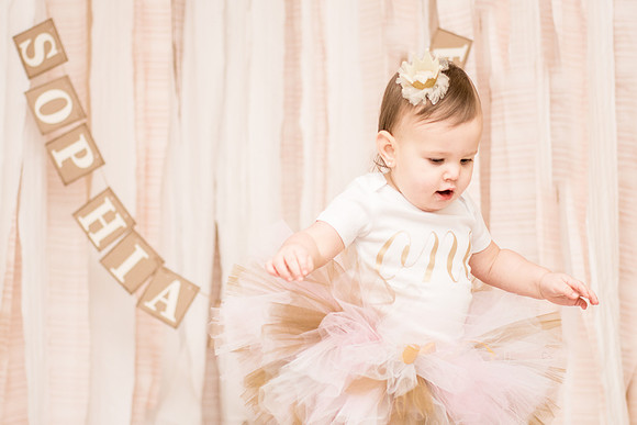 ​First Birthday & Cake Smash Session Ashley Halas Photography LLC Hamilton NJ