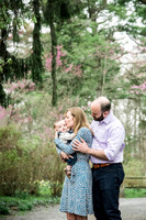 Spring Mini: Schubert