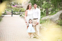 Spring Mini: Powers