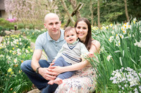 Spring Mini: Flemming