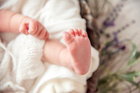 Newborn: Charlotte