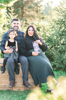 Tree Farm: Gulati