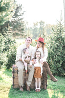 Tree Farm: Cipko
