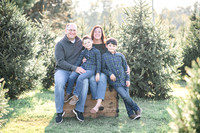 Tree Farm: Nardone