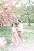Spring: Chang