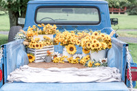 Sunflower Blue Truck: Pinto