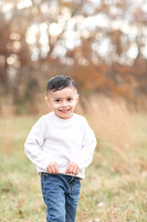 Autumn Mini: Romero