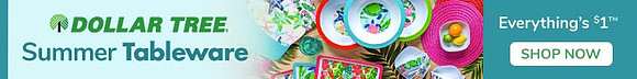 summer-fun-728x90