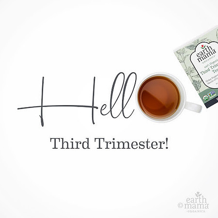 hello_3rdtri500