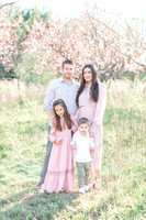 Spring Mini: Ward