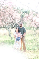 Spring Mini: Ragheb